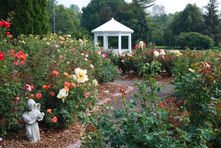 Yakima Arboretum Rose Garden